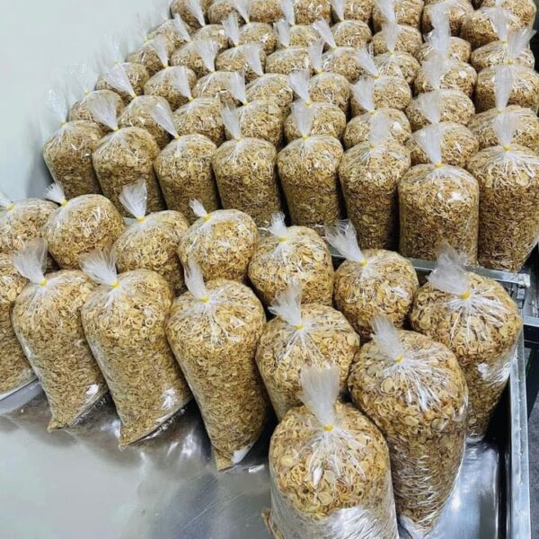 Sỉ hành phi Kinh Môn Hải Dương