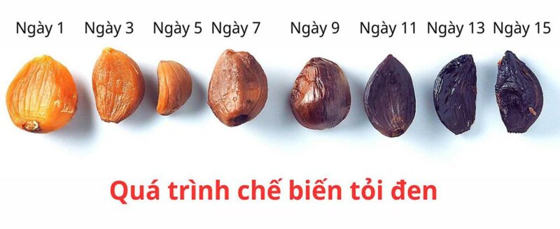 Thành phẩm tỏi đen sau khi làm bằng nồi cơm điện